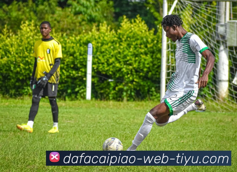 App Interface Preview