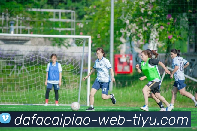 大发彩票APP 封面图